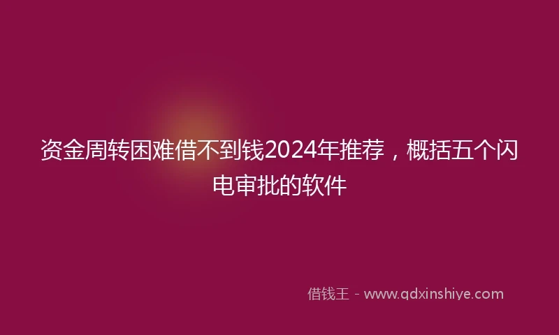 资金周转困难借不到钱2024年推荐，概括五个闪电审批的软件