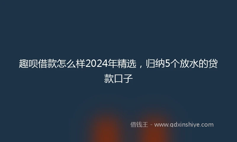 趣呗借款怎么样2024年精选,归纳5个放水的贷款口子