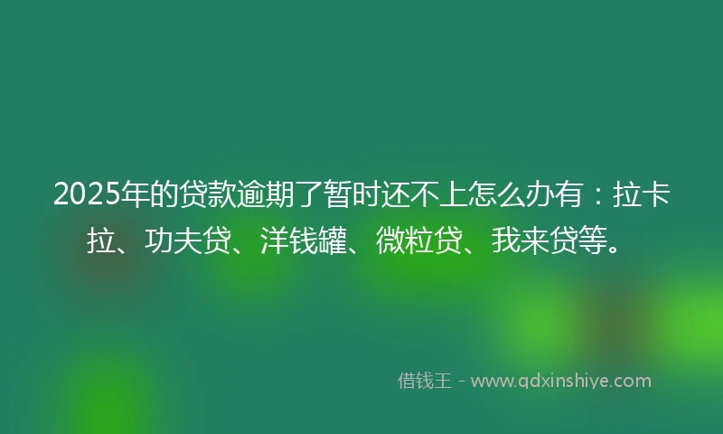 2025年的贷款逾期了暂时还不上怎么办有：拉卡拉、功夫贷、洋钱罐、微粒贷、我来贷等。