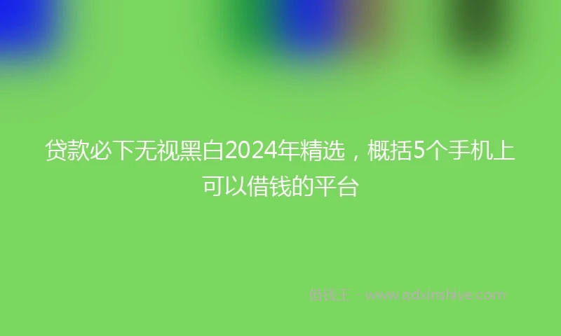 贷款必下无视黑白2024年精选，概括5个手机上可以借钱的平台