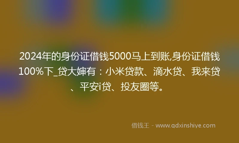 2024年的身份证借钱5000马上到账,身份证借钱100%下_贷大婶有：小米贷款、滴水贷、我来贷、平安i贷、投友圈等。