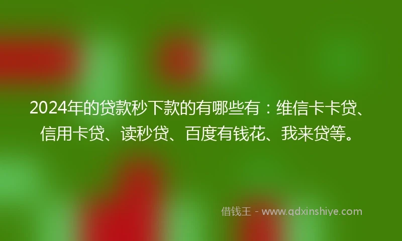 2024年的贷款秒下款的有哪些有：维信卡卡贷、信用卡贷、读秒贷、百度有钱花、我来贷等。