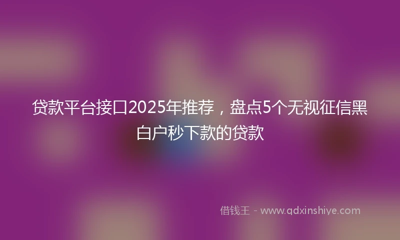 贷款平台接口2025年推荐，盘点5个无视征信黑白户秒下款的贷款