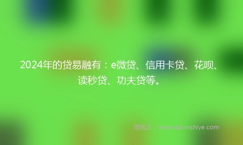 2024年的贷易融有：e微贷、信用卡贷、花呗、读秒贷、功夫贷等。