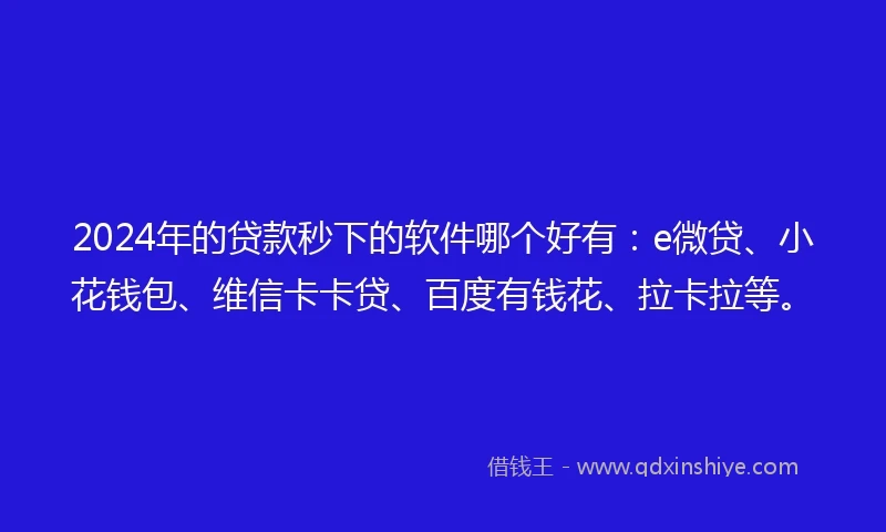 2024年的贷款秒下的软件哪个好有：e微贷、小花钱包、维信卡卡贷、百度有钱花、拉卡拉等。