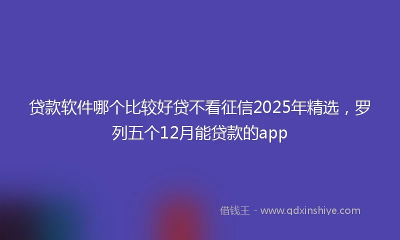 贷款软件哪个比较好贷不看征信2025年精选，罗列五个12月能贷款的app