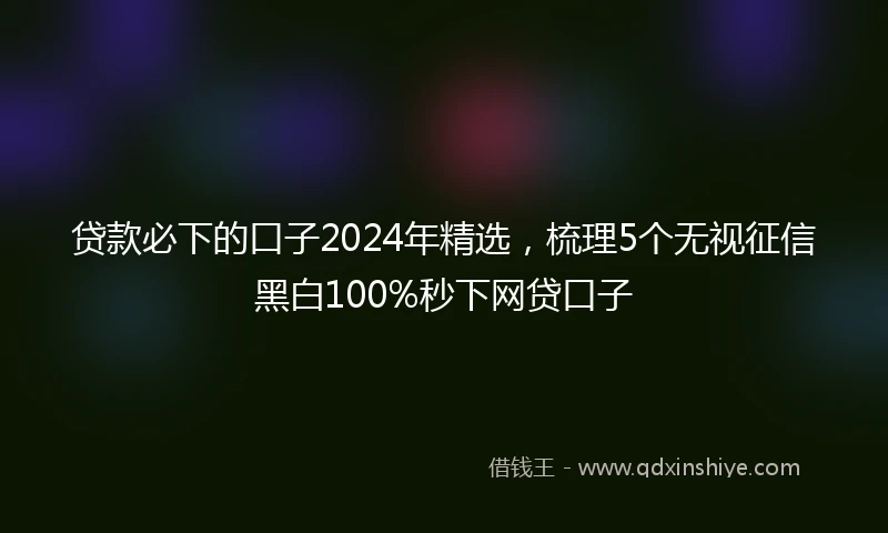 贷款必下的口子2024年精选，梳理5个无视征信黑白100%秒下网贷口子