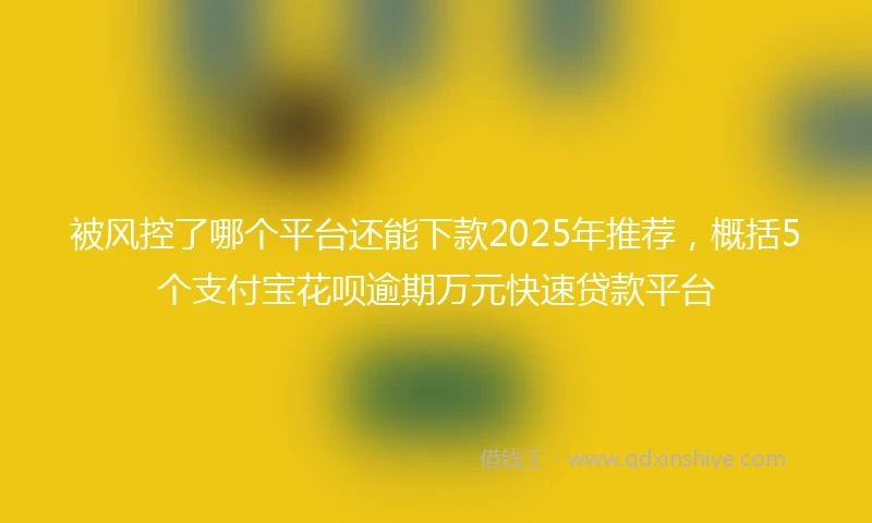 被风控了哪个平台还能下款2025年推荐，概括5个支付宝花呗逾期万元快速贷款平台