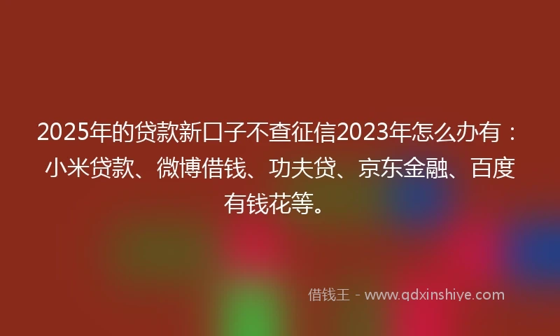 2025年的贷款新口子不查征信2023年怎么办有：小米贷款、微博借钱、功夫贷、京东金融、百度有钱花等。