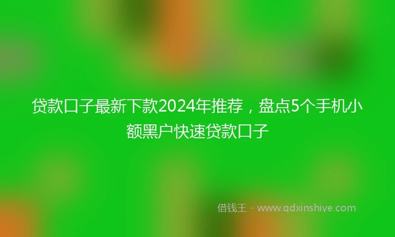 贷款口子最新下款2024年推荐，盘点5个手机小额黑户快速贷款口子