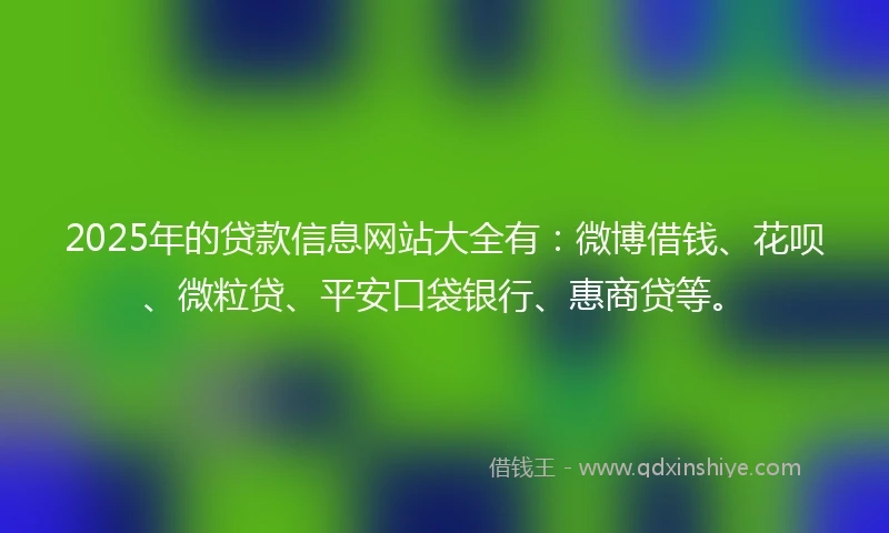 2025年的贷款信息网站大全有：微博借钱、花呗、微粒贷、平安口袋银行、惠商贷等。