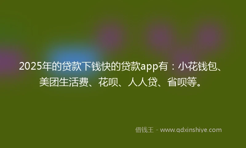 2025年的贷款下钱快的贷款app有：小花钱包、美团生活费、花呗、人人贷、省呗等。