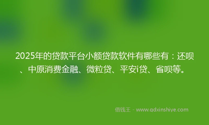 2025年的贷款平台小额贷款软件有哪些有：还呗、中原消费金融、微粒贷、平安i贷、省呗等。