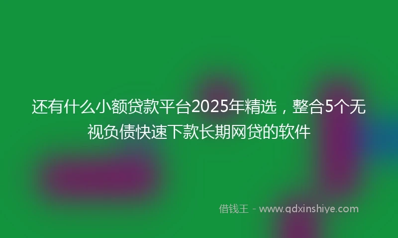还有什么小额贷款平台2025年精选，整合5个无视负债快速下款长期网贷的软件