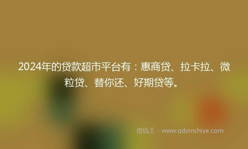 2024年的贷款超市平台有：惠商贷、拉卡拉、微粒贷、替你还、好期贷等。