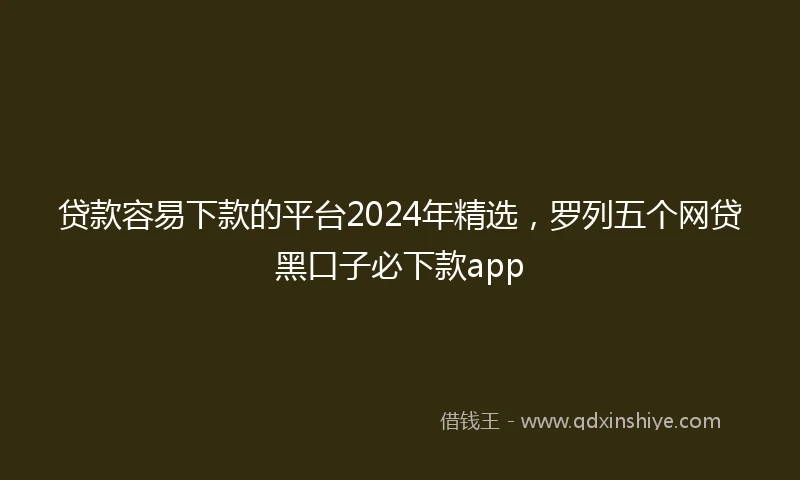 贷款容易下款的平台2024年精选，罗列五个网贷黑口子必下款app