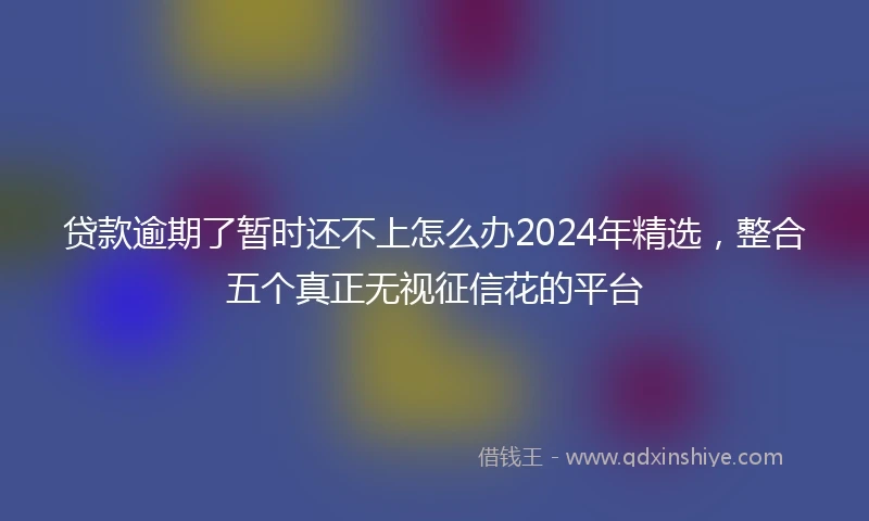 贷款逾期了暂时还不上怎么办2024年精选,整合五个真正无视征信花的平台