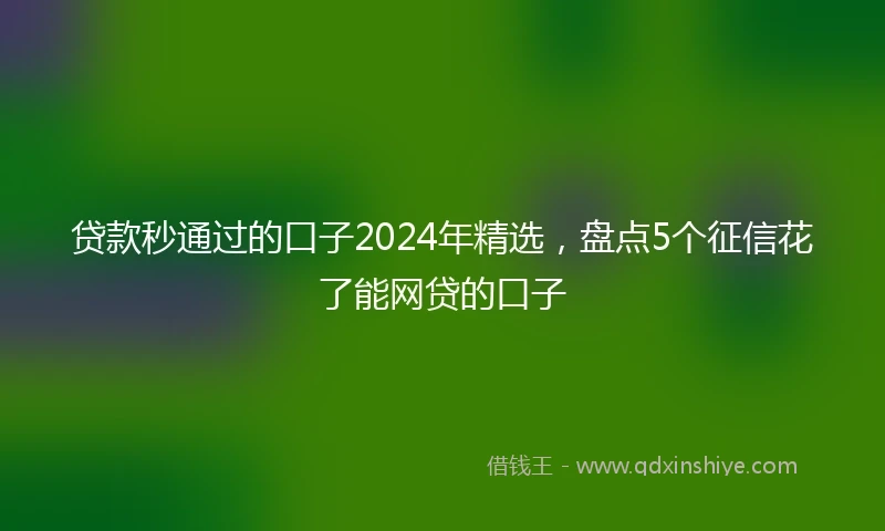 贷款秒通过的口子2024年精选，盘点5个征信花了能网贷的口子