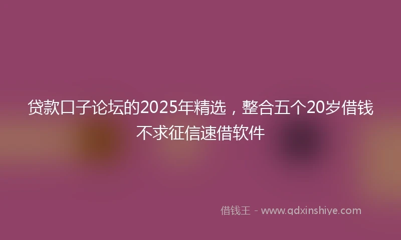 贷款口子论坛的2025年精选，整合五个20岁借钱不求征信速借软件