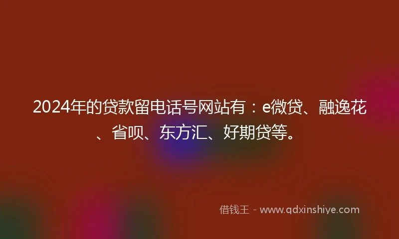 2024年的贷款留电话号网站有：e微贷、融逸花、省呗、东方汇、好期贷等。