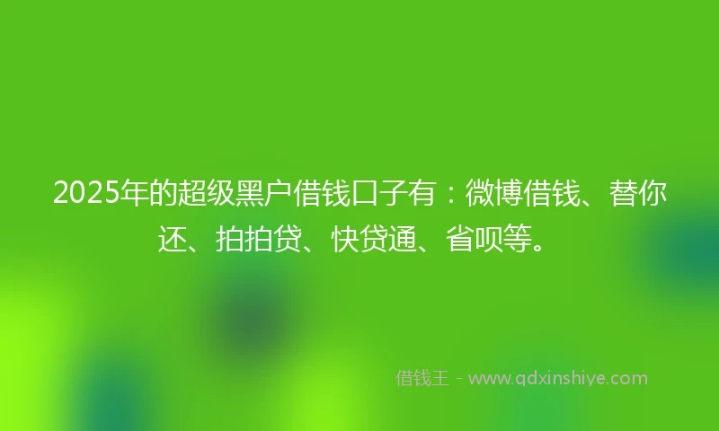 2025年的超级黑户借钱口子有：微博借钱、替你还、拍拍贷、快贷通、省呗等。