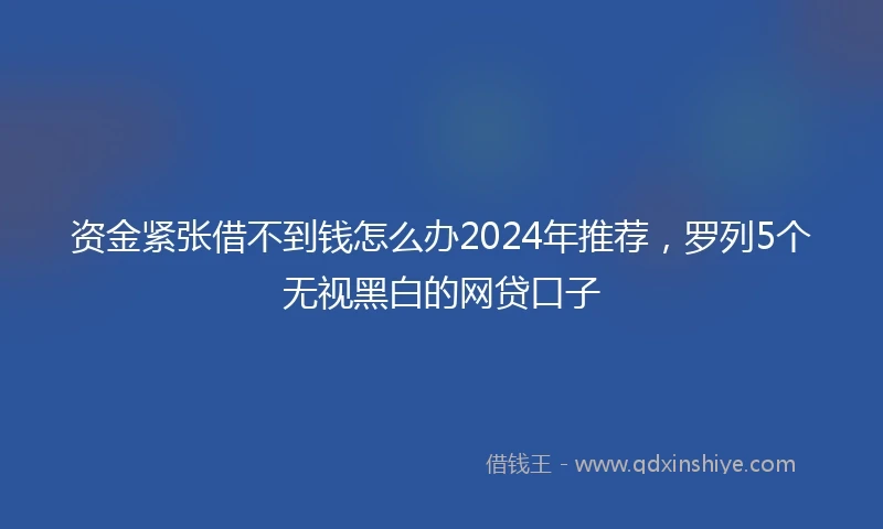 资金紧张借不到钱怎么办2024年推荐，罗列5个无视黑白的网贷口子