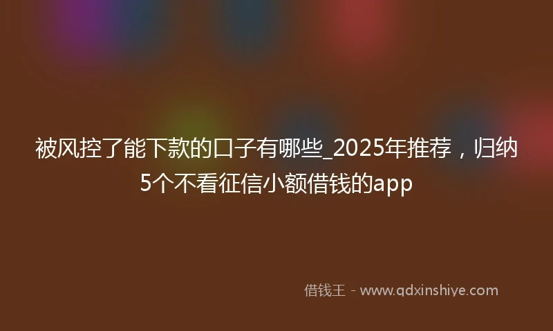 被风控了能下款的口子有哪些_2025年推荐，归纳5个不看征信小额借钱的app