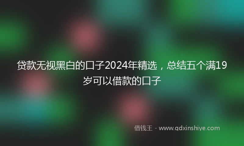 贷款无视黑白的口子2024年精选，总结五个满19岁可以借款的口子
