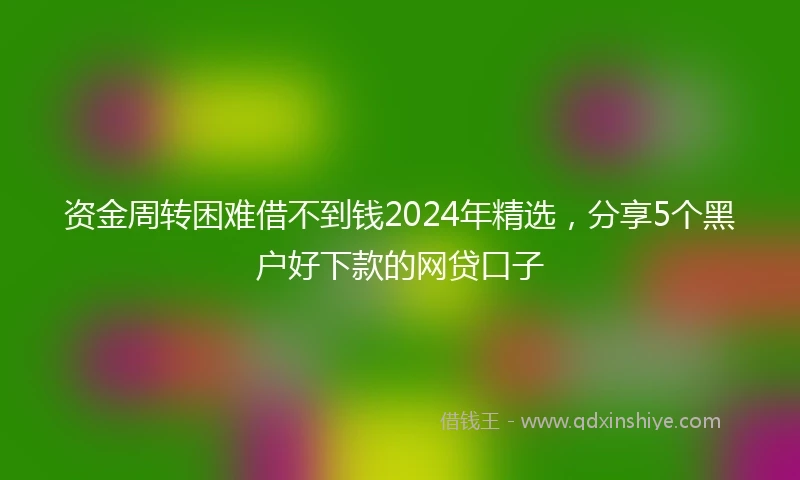资金周转困难借不到钱2024年精选,分享5个黑户好下款的网贷口子