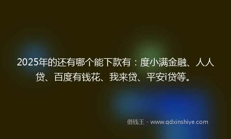 2025年的还有哪个能下款有：度小满金融、人人贷、百度有钱花、我来贷、平安i贷等。