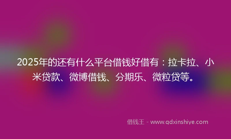 2025年的还有什么平台借钱好借有：拉卡拉、小米贷款、微博借钱、分期乐、微粒贷等。