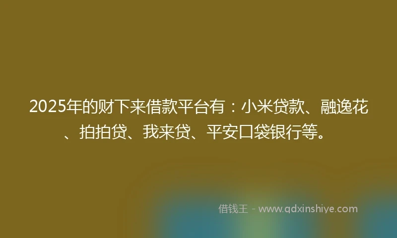 2025年的财下来借款平台有：小米贷款、融逸花、拍拍贷、我来贷、平安口袋银行等。