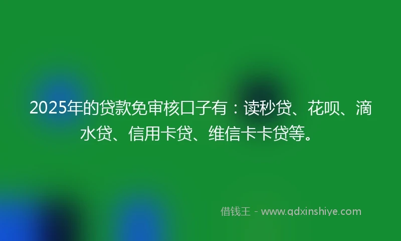 2025年的贷款免审核口子有：读秒贷、花呗、滴水贷、信用卡贷、维信卡卡贷等。