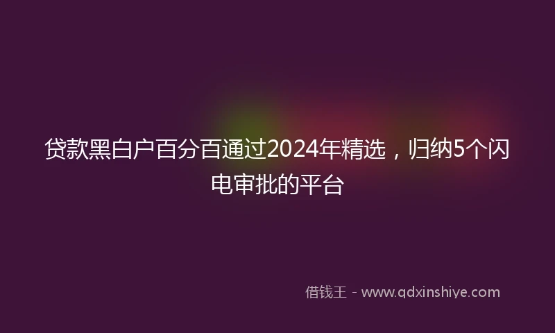 贷款黑白户百分百通过2024年精选，归纳5个闪电审批的平台