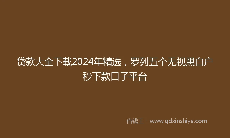 贷款大全下载2024年精选，罗列五个无视黑白户秒下款口子平台