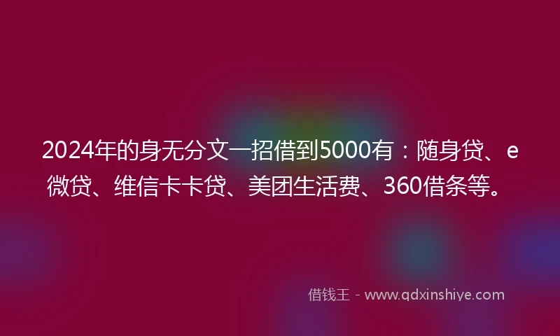 2024年的身无分文一招借到5000有：随身贷、e微贷、维信卡卡贷、美团生活费、360借条等。