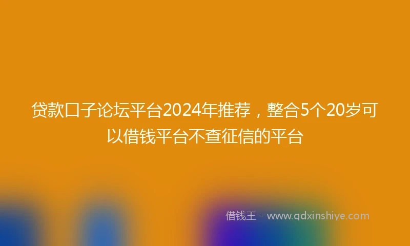贷款口子论坛平台2024年推荐，整合5个20岁可以借钱平台不查征信的平台