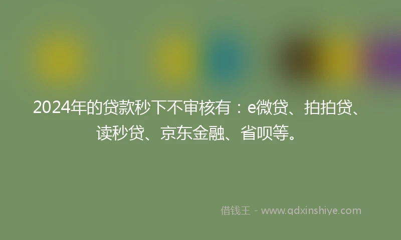 2024年的贷款秒下不审核有：e微贷、拍拍贷、读秒贷、京东金融、省呗等。