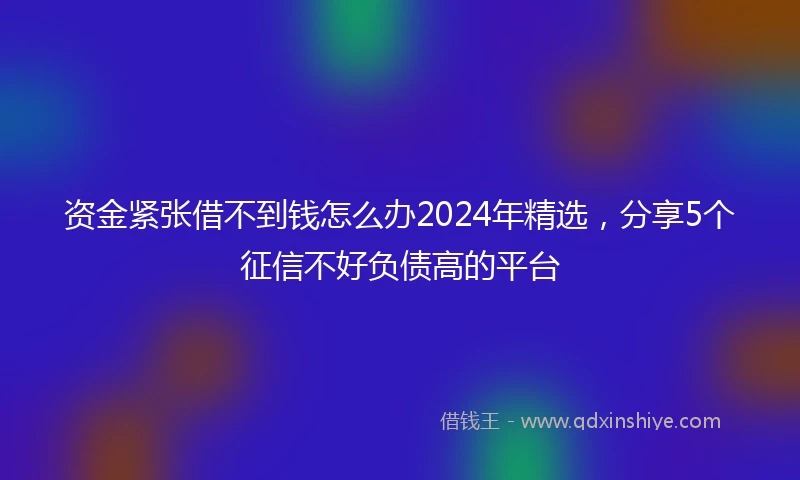 资金紧张借不到钱怎么办2024年精选，分享5个征信不好负债高的平台