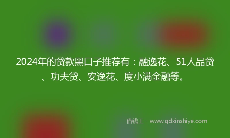 2024年的贷款黑口子推荐有：融逸花、51人品贷、功夫贷、安逸花、度小满金融等。