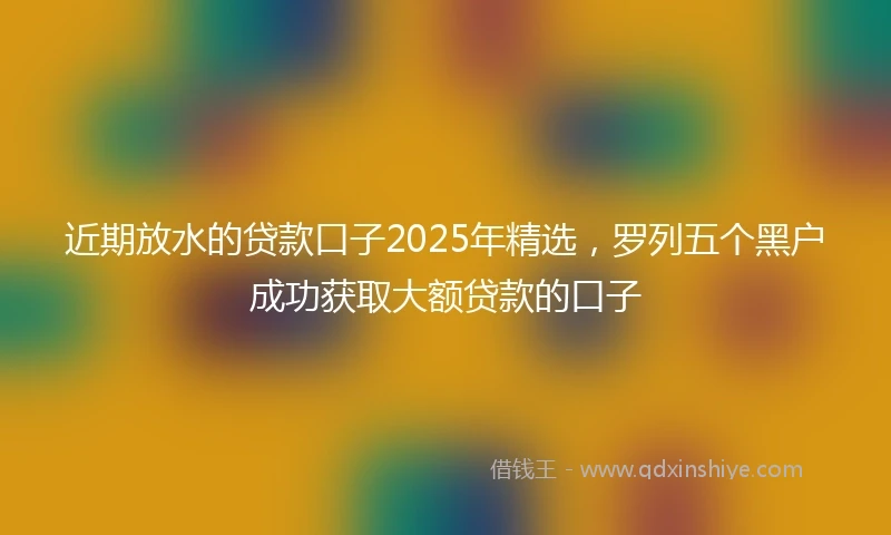 近期放水的贷款口子2025年精选，罗列五个黑户成功获取大额贷款的口子