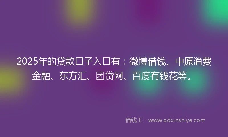 2025年的贷款口子入口有：微博借钱、中原消费金融、东方汇、团贷网、百度有钱花等。
