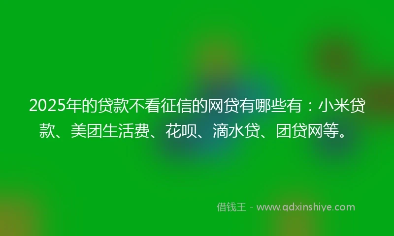 2025年的贷款不看征信的网贷有哪些有：小米贷款、美团生活费、花呗、滴水贷、团贷网等。