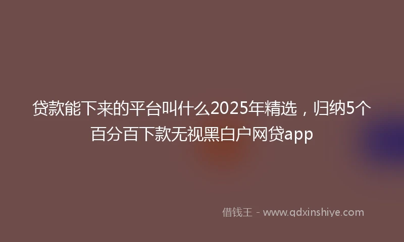 贷款能下来的平台叫什么2025年精选，归纳5个百分百下款无视黑白户网贷app