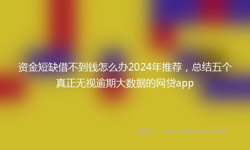 资金短缺借不到钱怎么办2024年推荐,总结五个真正无视逾期大数据的网贷app