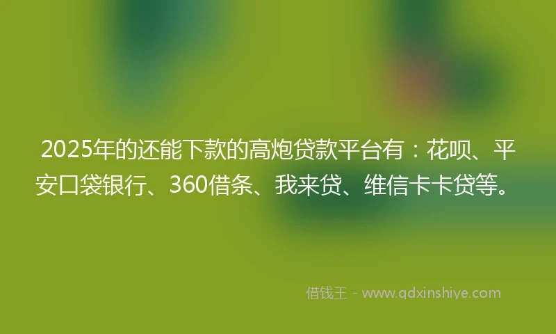 2025年的还能下款的高炮贷款平台有：花呗、平安口袋银行、360借条、我来贷、维信卡卡贷等。