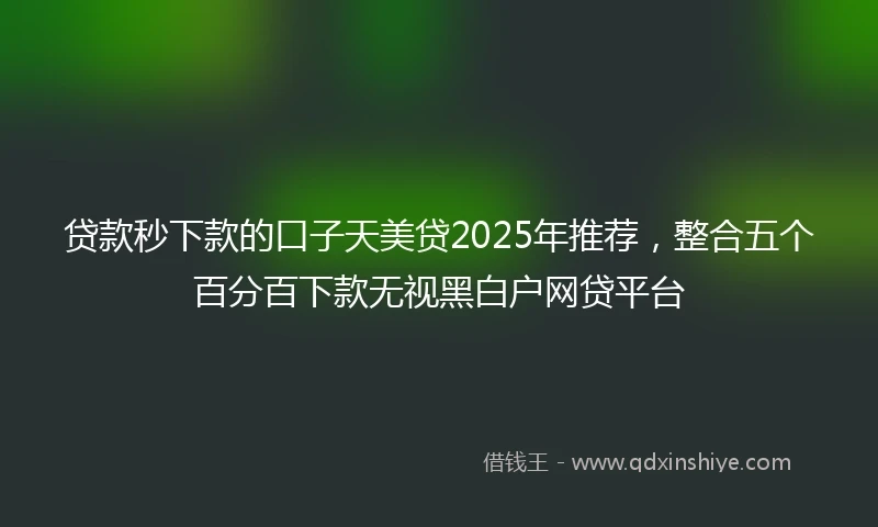 贷款秒下款的口子天美贷2025年推荐，整合五个百分百下款无视黑白户网贷平台