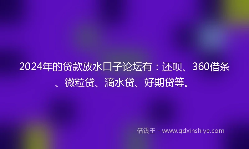 2024年的贷款放水口子论坛有：还呗、360借条、微粒贷、滴水贷、好期贷等。