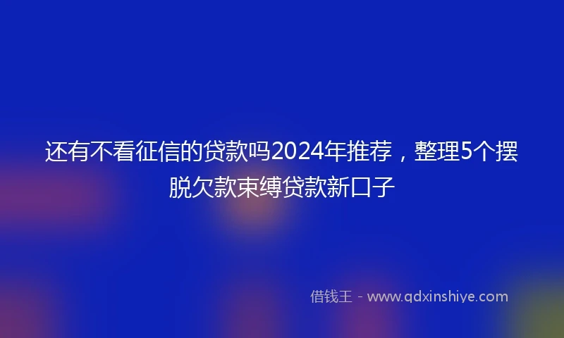 还有不看征信的贷款吗2024年推荐，整理5个摆脱欠款束缚贷款新口子