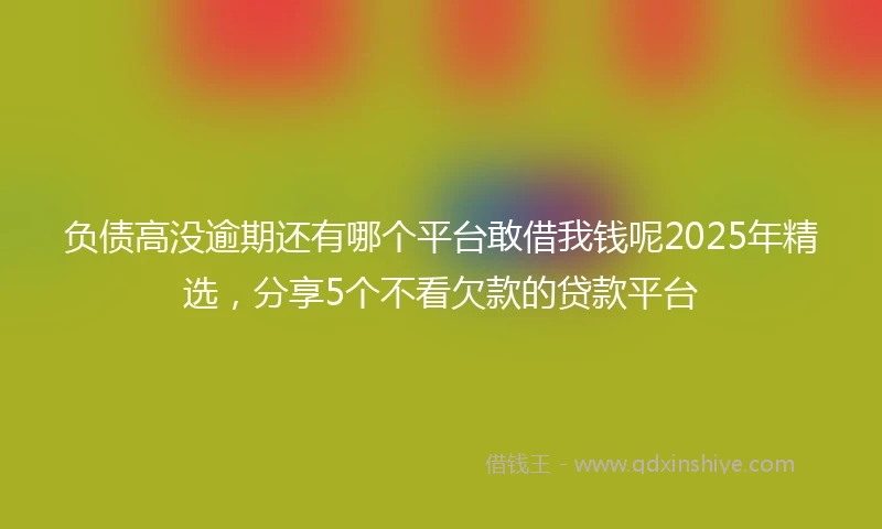 负债高没逾期还有哪个平台敢借我钱呢2025年精选，分享5个不看欠款的贷款平台